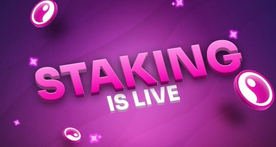 Elixir Games allows users to stake tokens directly within its launcher