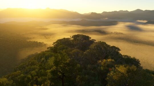 The Amazon River region in Microsoft Flight Simulator 2024.