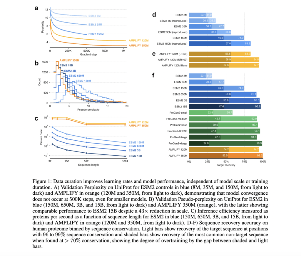AMPLIFY: Leveraging Data Quality Over Scale for Efficient Protein Language Model Development