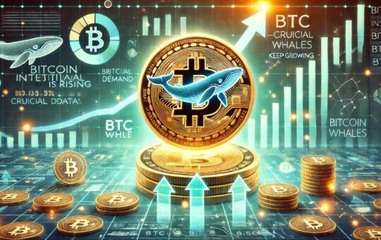 Bitcoin Institutional Demand Is Rising – Crucial Data Reveals BTC Whales Keep Growing