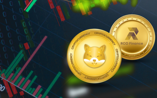 Buying this Shiba Inu Killer Might be the Easiest Way to Make $1M in 2025, Says SHIB Top Trader