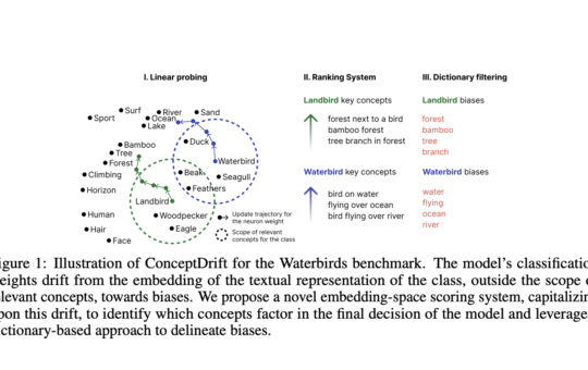 ConceptDrift: An AI Method to Identify Biases Using a Weight-Space Approach Moving Beyond Traditional Data-Restricted Protocols