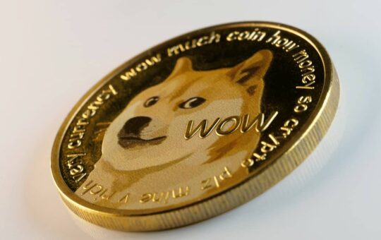 DOGE Leads SHIB and PEPE in This Important Metric: Details