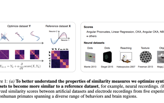 Decoding Similarity: A Framework for Analyzing Neural and Model Representations