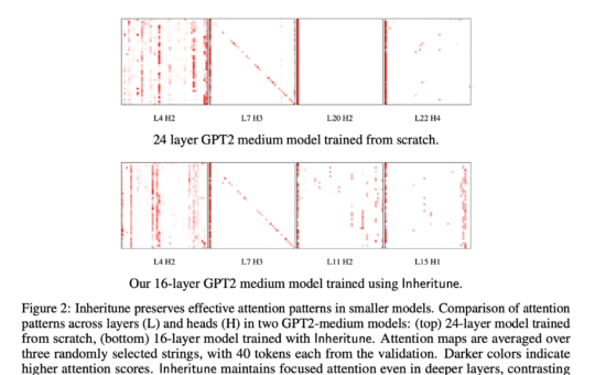Inheritune: An Effective AI Training Approach for Developing Smaller and High-Performing Language Models