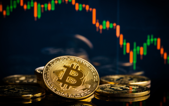 Legendary Bitcoin Trader Says This Under the Radar Dogecoin Killer is Rising from $0.03 to $1 by 2025