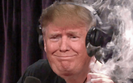 MAGA (TRUMP) Price Up 17%, Is $DUM The Next PolitFi Crypto to Explode