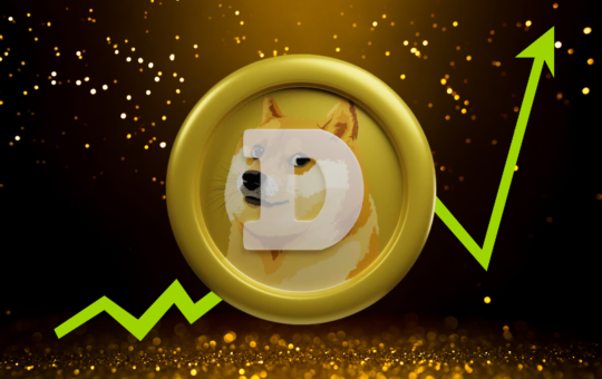 Rookie Dogecoin Trader that Turned $1000 to $1M Unveils Next Big Bet Aiming for a 12,000x Bull Run by Q1 2025