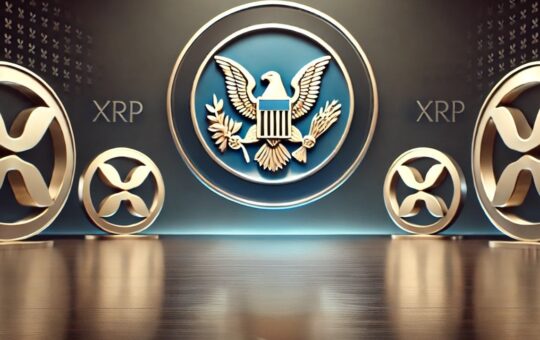 SEC Appeals Ripple Case, Citing Errors in Final Judgment