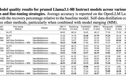 Self-Data Distilled Fine-Tuning: A Solution for Pruning and Supervised Fine-tuning Challenges in LLMs