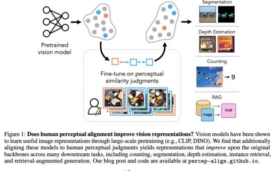 This AI Paper Explores If Human Visual Perception can Help Computer Vision Models Outperform in Generalized Tasks