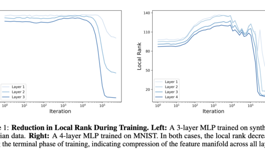 Understanding Local Rank and Information Compression in Deep Neural Networks