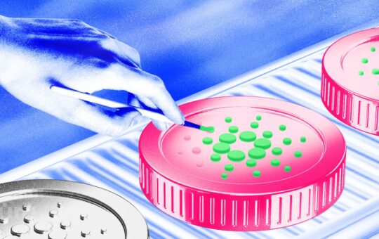 Cardano (ADA) Bulls Ignite Momentum to Recapture 2024 Highs