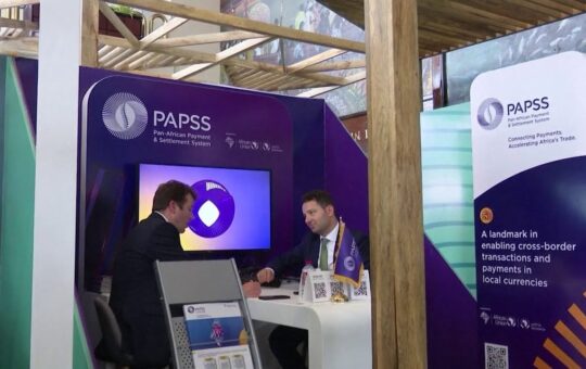 African Payment System Gets Banker’s Endorsement, but Viability Questions Linger