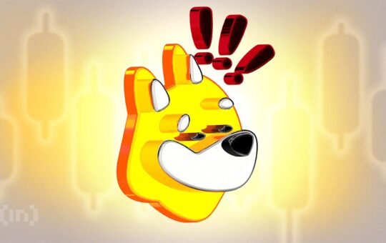 Bonk Up 14%, Emerges As Sole Solana Meme Coin in Top 100 Cryptos To Rise Today