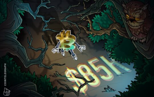 Bitcoin on track for $85K, breaks record $82.4K ‘uncharted territory’