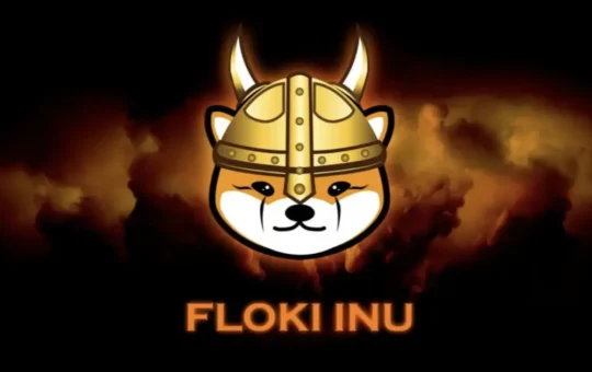 Floki Inu Hits 5-Month High — Will It Survive or Plummet?