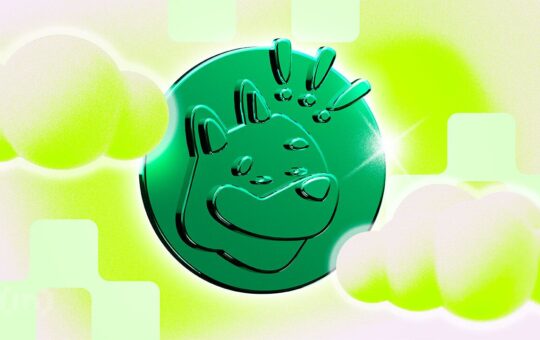 BONK Market Cap Flips WIF Ahead of 1 Trillion Token Burn by Christmas