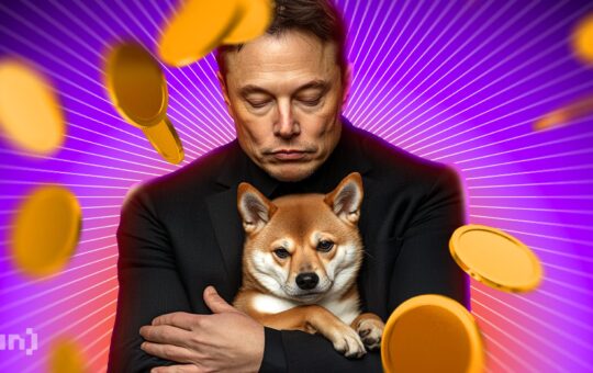 Elon Musk Post About ‘Executed’ Squirrel Drives Meme Coin PNUT to $130 Million Market Cap