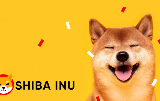 Shiba Inu SHIB Binance petition