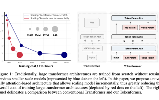 Tokenformer: The Next Generation of Transformer Architecture Leveraging Tokenized Parameters for Seamless, Cost-Effective Scaling Across AI Applications