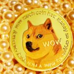 Dogecoin Million Dollar Transactions Soar After Trump Inauguration, Is A Bounce Coming?