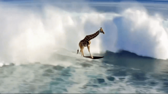 Screenshot of AI video of surfing giraffe