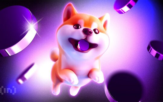 Shiba Inu (SHIB) Tests Resistance Amid Waning Bullish Momentum