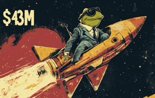 The Next Meme Coin Moonshot?