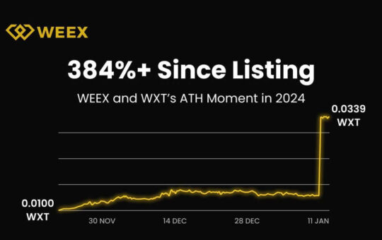 WEEX 2024 Annual Report