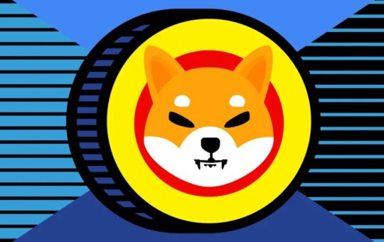 Shiba Inu
