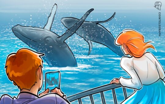 ZachXBT says he unmasked mysterious 50x Hyperliquid whale