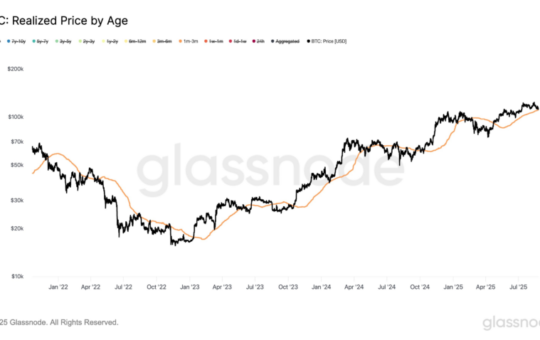 $110,800 Is Bitcoin’s New Key Defense Line: Glassnode