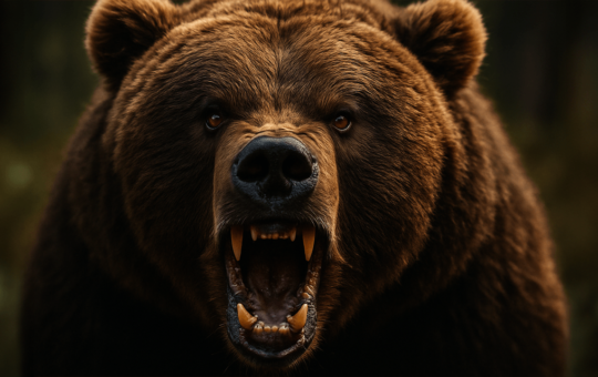Bitcoin Bears Take Control — Key $110K Barrier Shattered