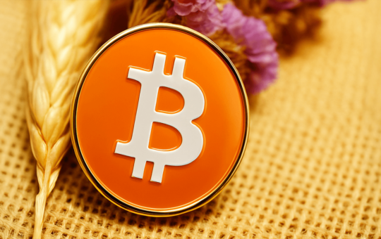 Bitcoin Price Watch: Traders Brace for Volatility After Tight Price Coil