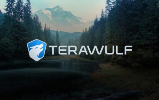 Google ups stake in Bitcoin miner TeraWulf to 14%, WULF jumps 13%