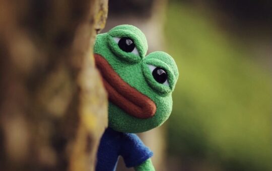 Investor Sues Pepe Creator Over Role in N Korean NFT Hack