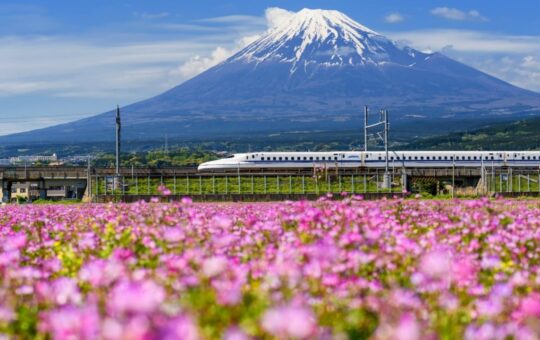 Metaplanet Buys 103 Bitcoin, Now Holds 18,991 BTC Valued at $1.95B