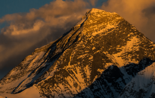 Peaks and Pitfalls: Top 10 Crypto Assets Split Between Fresh Highs and Old Lows