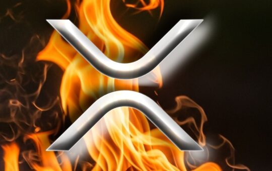 Ripple CEO Endorses XRP Card With Fire—Says ‘What a Time to Be Alive, XRP Family’