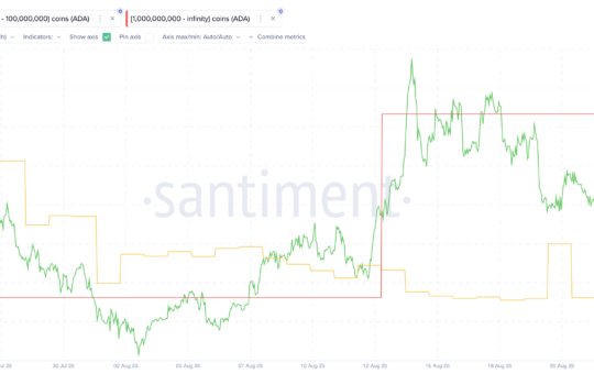Cardano as one of the Coins Crypto Whales are Buying