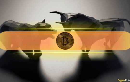 What On-Chain Data Means for BTC's Future