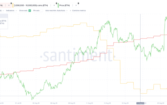 Ethereum Holders Continue To Accumulate