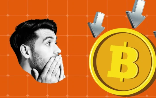 BCCI Bans Crypto Firms From Bidding for Team India Sponsorship