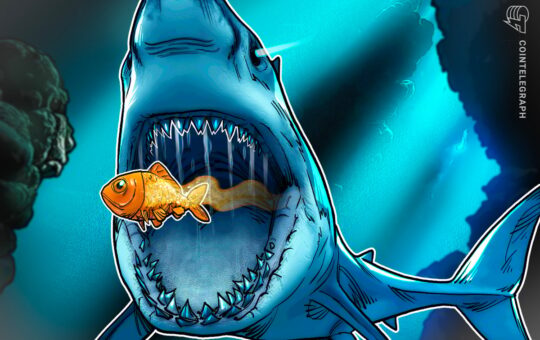 BTC Treasury Smarter Web Company Looks to Buy Competition