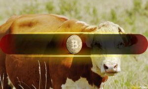 Bitcoin Bull Market Ending in 50 Days, Says Analyst