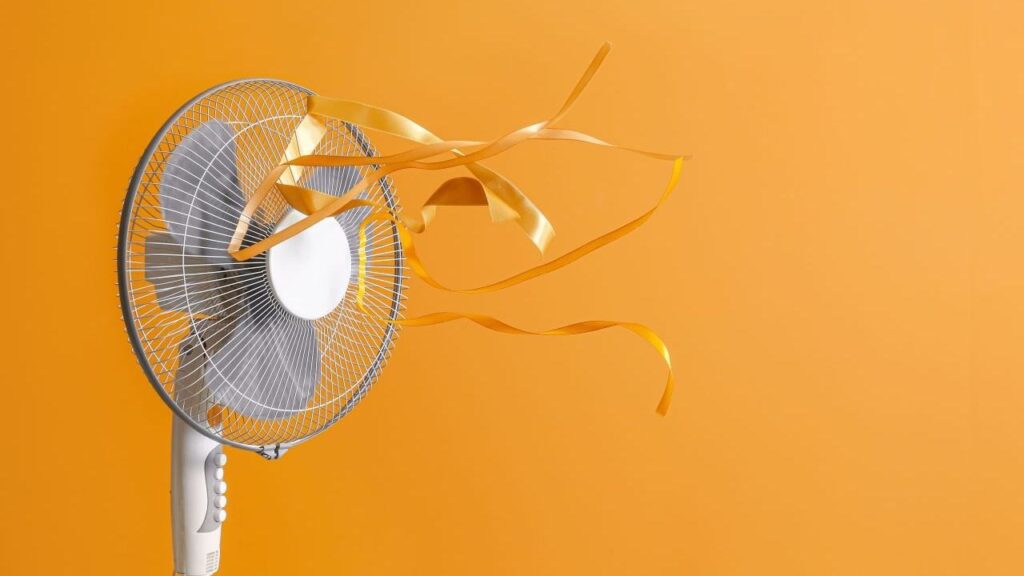 Bitcoin Hits $114K as Inflation Cools