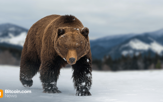 Bitcoin Price Watch: Bulls on Life Support as $111K Turns Into the Final Stand