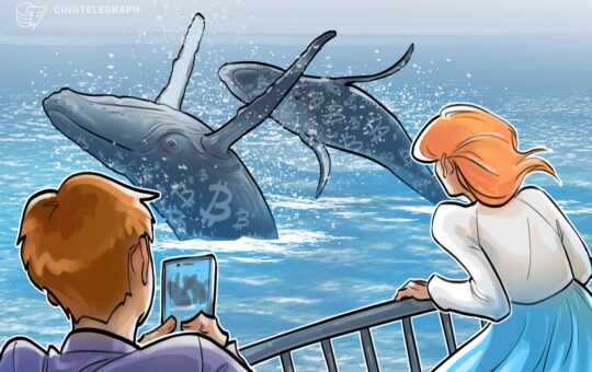 Bitcoin To Rocket To $150K Once 2 Whales Stop Selling: Exec