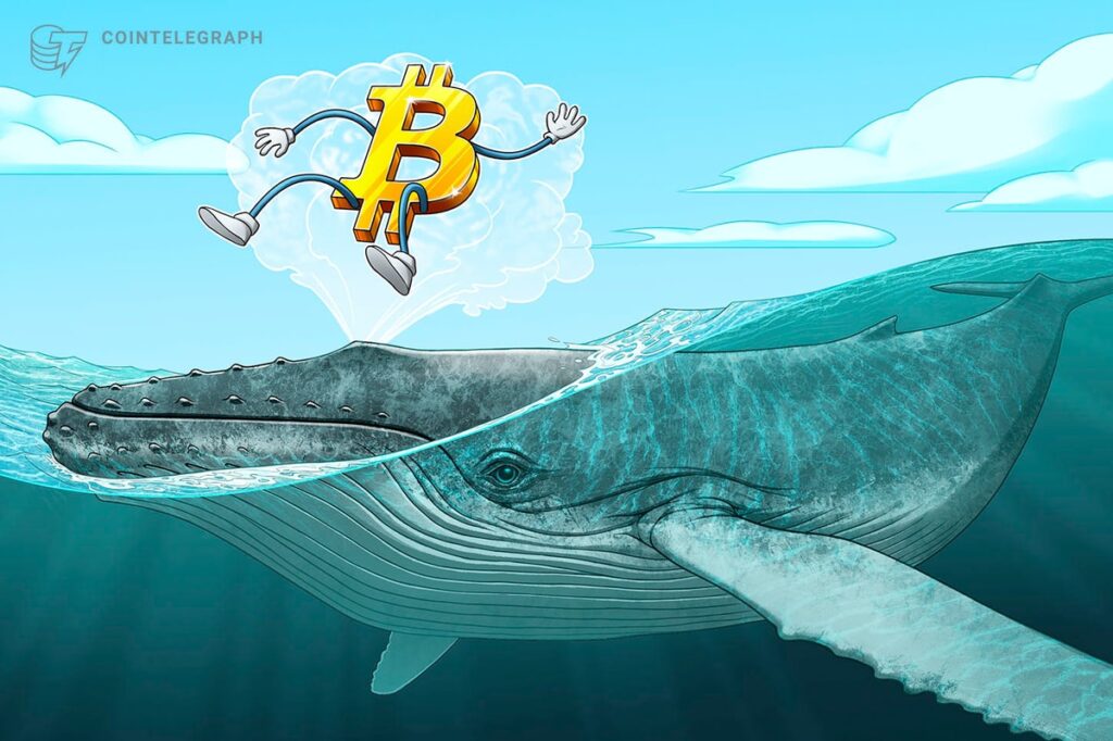 Bitcoin Whales Dump $12.7B In Largest Selloff Since 2022